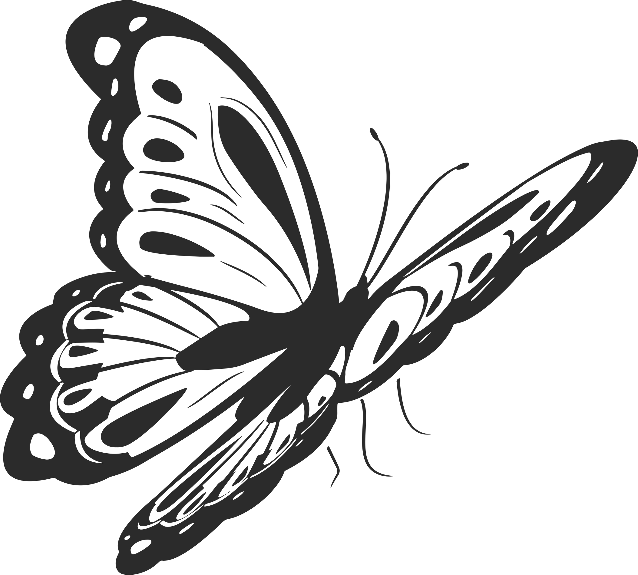 Butterfly Silhouette Illustration